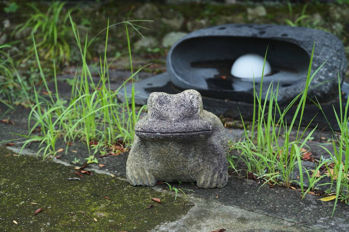 御影石 カエル かえる 蛙 石彫 造園 庭石 | ncdc-gkp.in