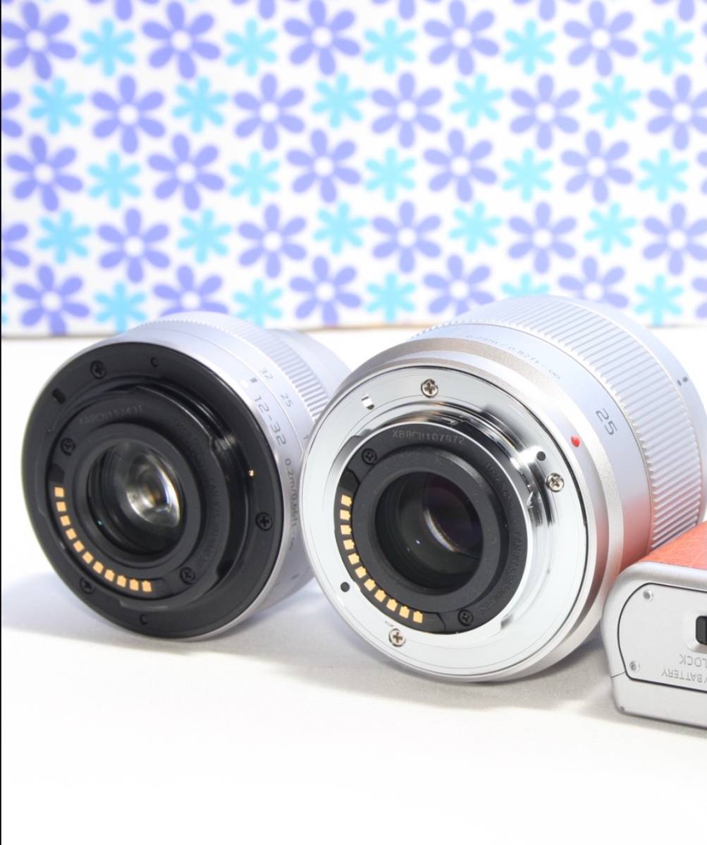 極上美品☆Wi-fi機能搭載☆Panasonic LUMIX DC-GF9 ダブルレンズセット