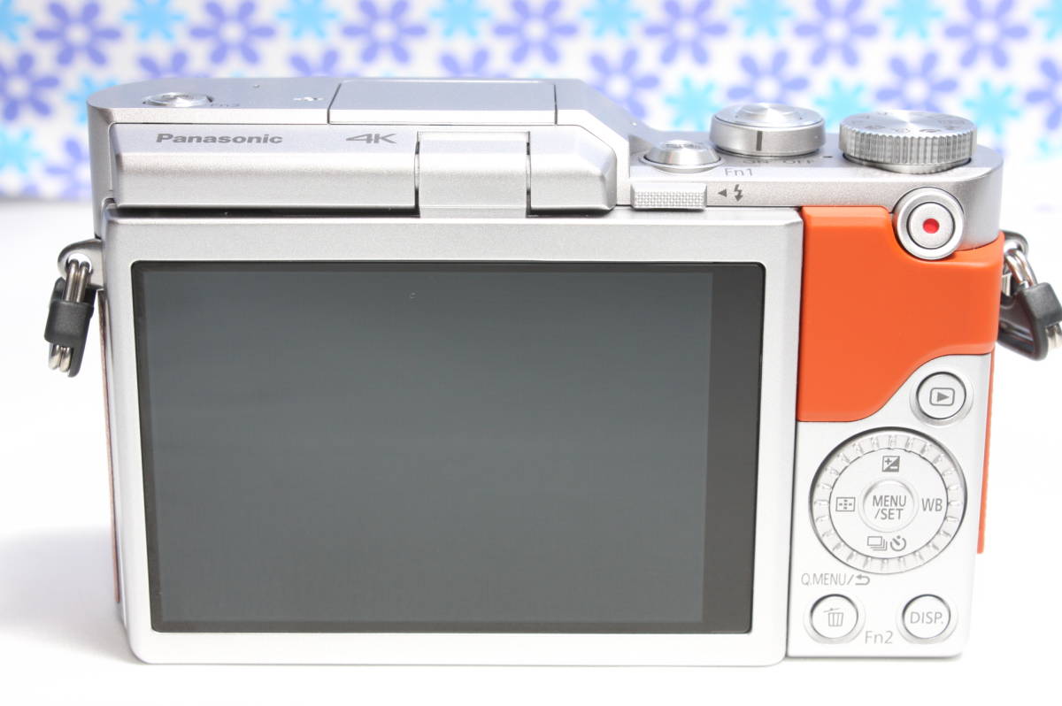 極上美品☆Wi-fi機能搭載☆Panasonic LUMIX DC-GF9 ダブルレンズセット