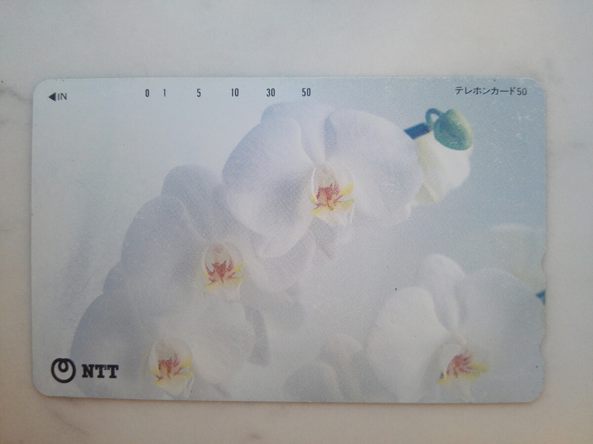 新品未使用 テレカ 胡蝶蘭 植物 花 癒し 自然 美しい テレホンカード 50度 昭和 NTT コレクション 新品_画像1