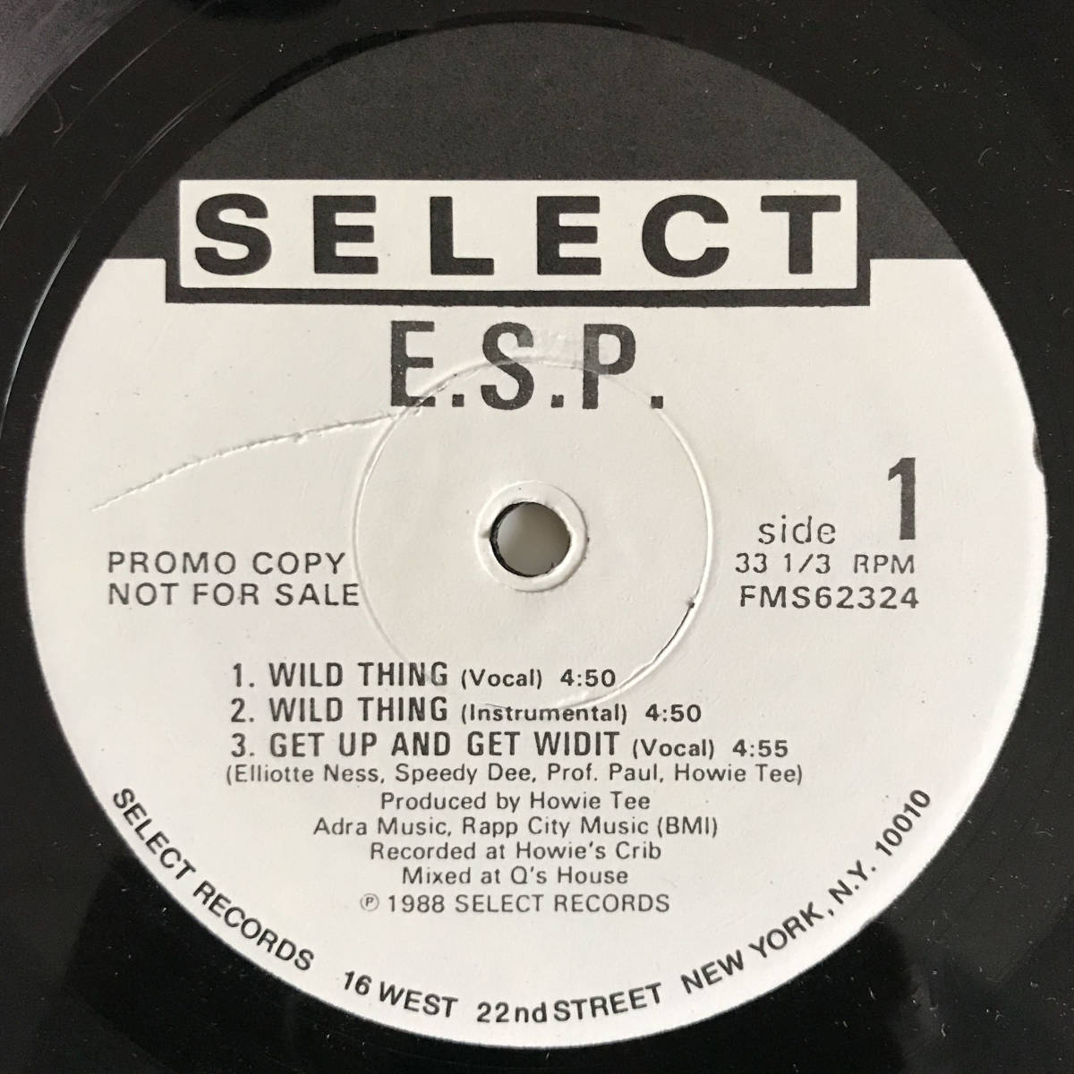 E.S.P. - Wild Thing / We Got It (Promo)_画像1