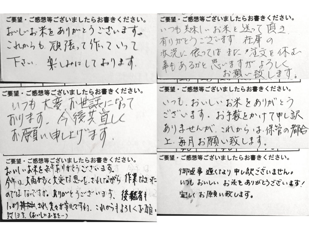 ④【送料無料】落札後精米●令和3年精米25キロ★新潟県従来コシヒカリ　籾殻保管　特A獲得　農家からの直送_画像7