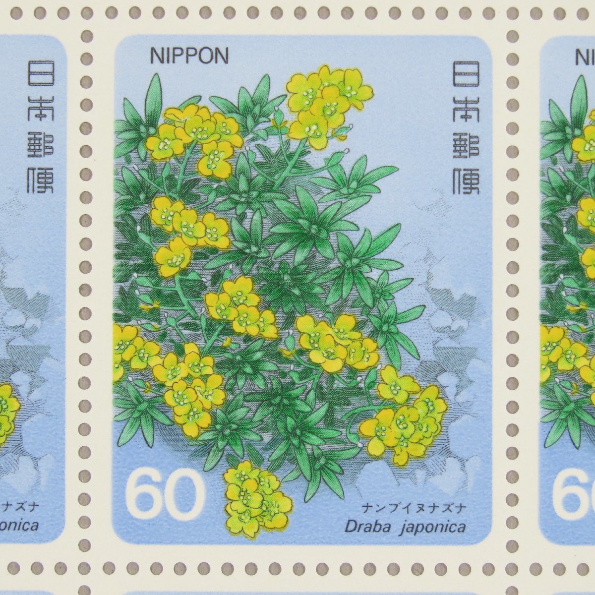 【切手0782】高山植物シリーズ 第4集 ナンブイヌナズナ 60円20面1シート_画像1