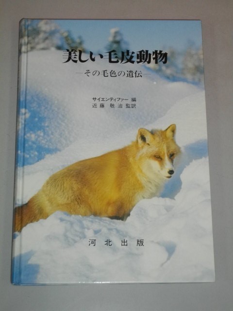 クリスマス特集2022 美しい毛皮動物 その毛色の遺伝□サイエンティ