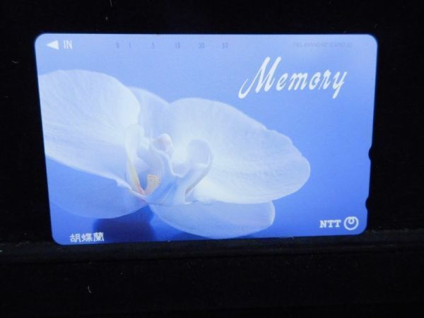 テレカ 50度 Memory 胡蝶蘭 未使用 S-0006
