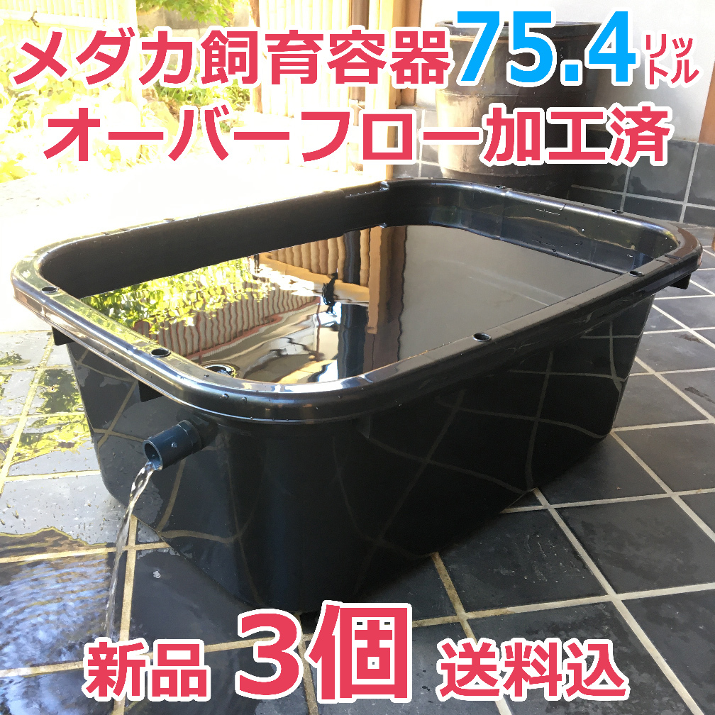 メダカ飼育容器 75 4㍑ 黒 3個 オーバーフロー加工済 即決・即納・送料