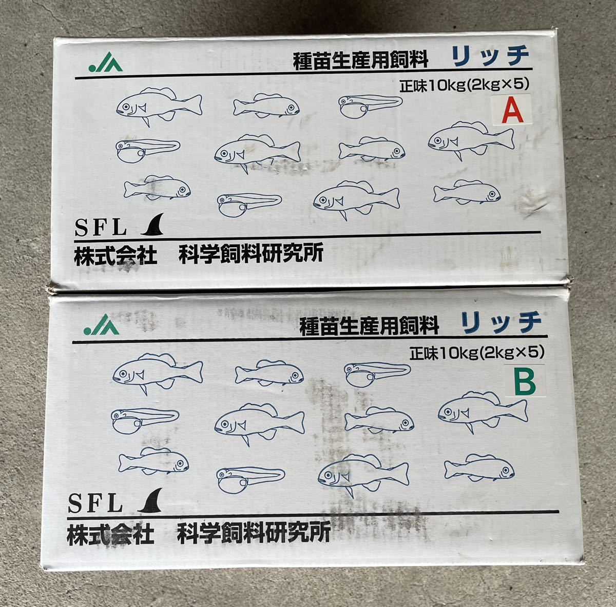 めだかの餌 リッチA10kg B10kg 噂のエサ メダカのごはん めだかの餌 リッチA10kg B10kg 噂のエサ メダカのごはん