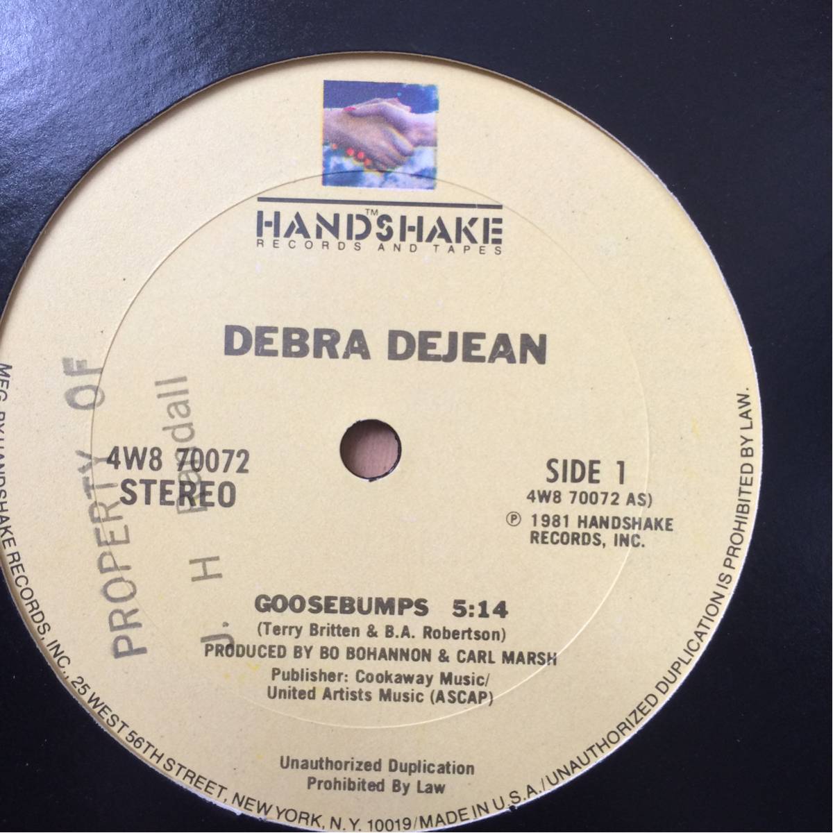 12' Debra Dejean-Goosebumps_画像1