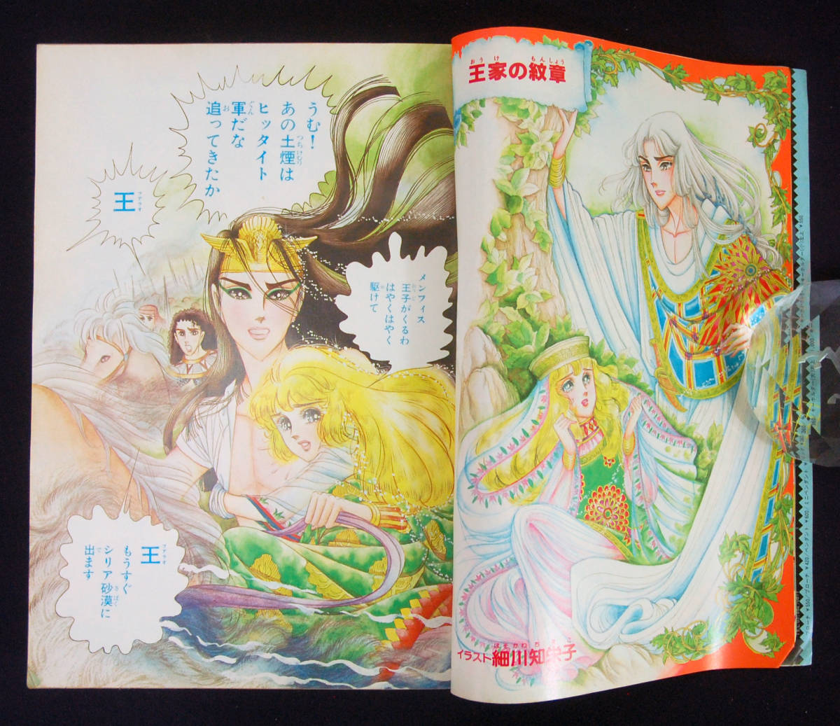 月刊プリンセス 1981年6月号 細川知栄子(王家の紋章/巻頭カラー 月刊プリンセス 1981年6月号 細川知栄子(王家の紋章/巻頭カラー