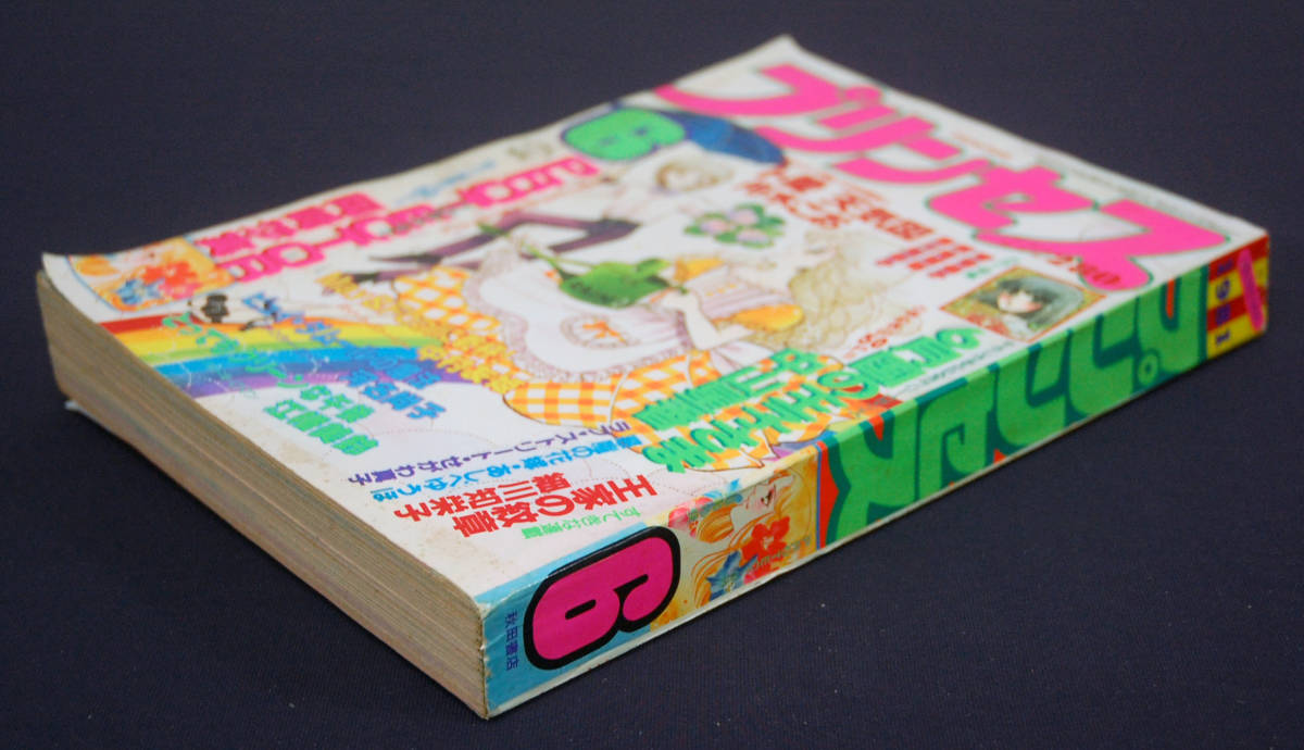 月刊プリンセス 1981年6月号 細川知栄子(王家の紋章/巻頭カラー 月刊プリンセス 1981年6月号 細川知栄子(王家の紋章/巻頭カラー