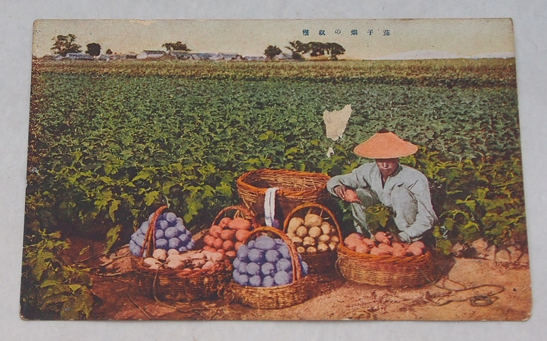戦前 絵葉書 3枚 古写真 中国の農村風景？支那 朝鮮 アジア_破れがあります
