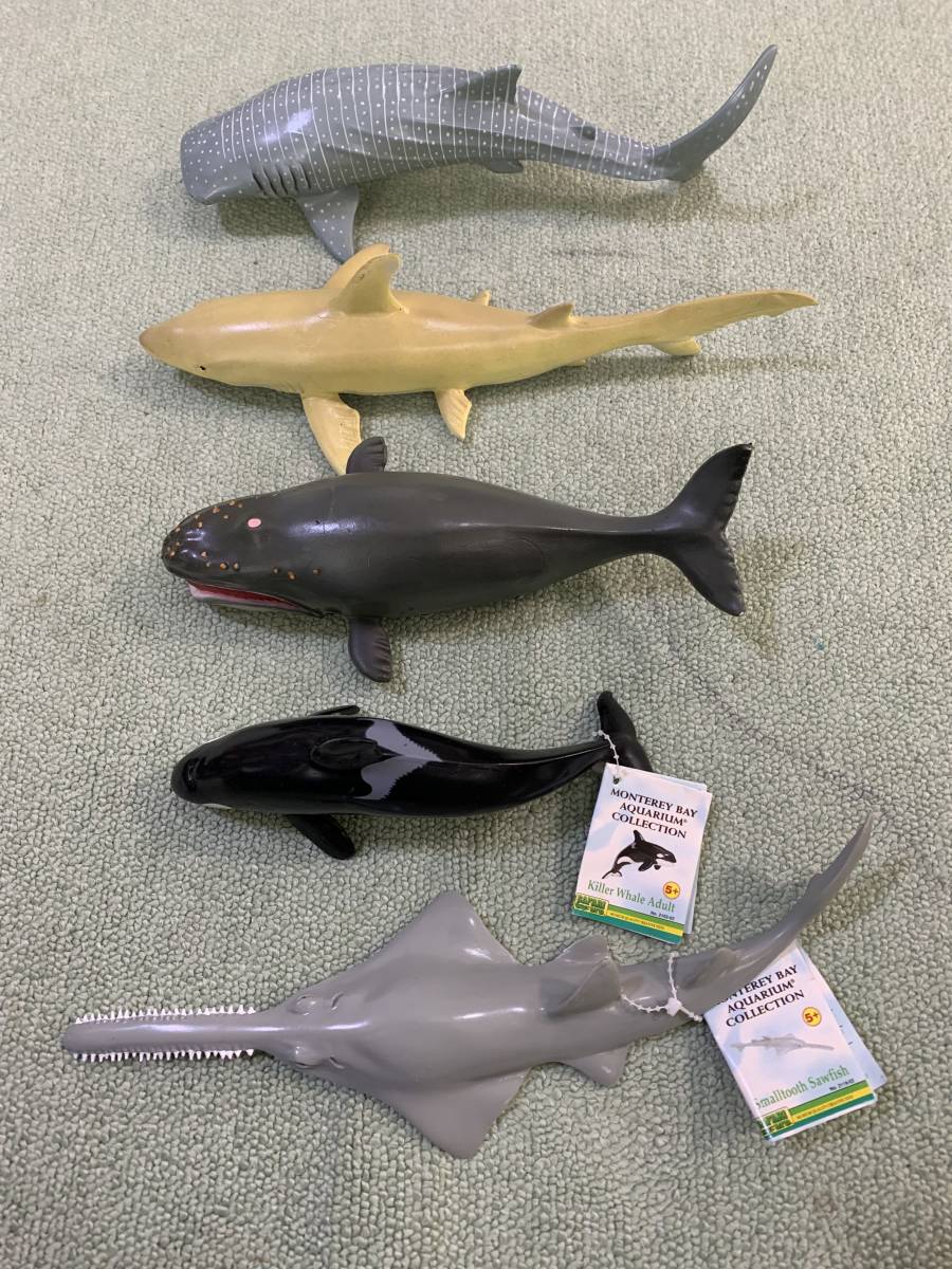 Safari サファリ社他 ジンベエザメ イタチザメ セミクジラ シャチ ノコギリザメ whale shark tiger shark right whale 5体セット