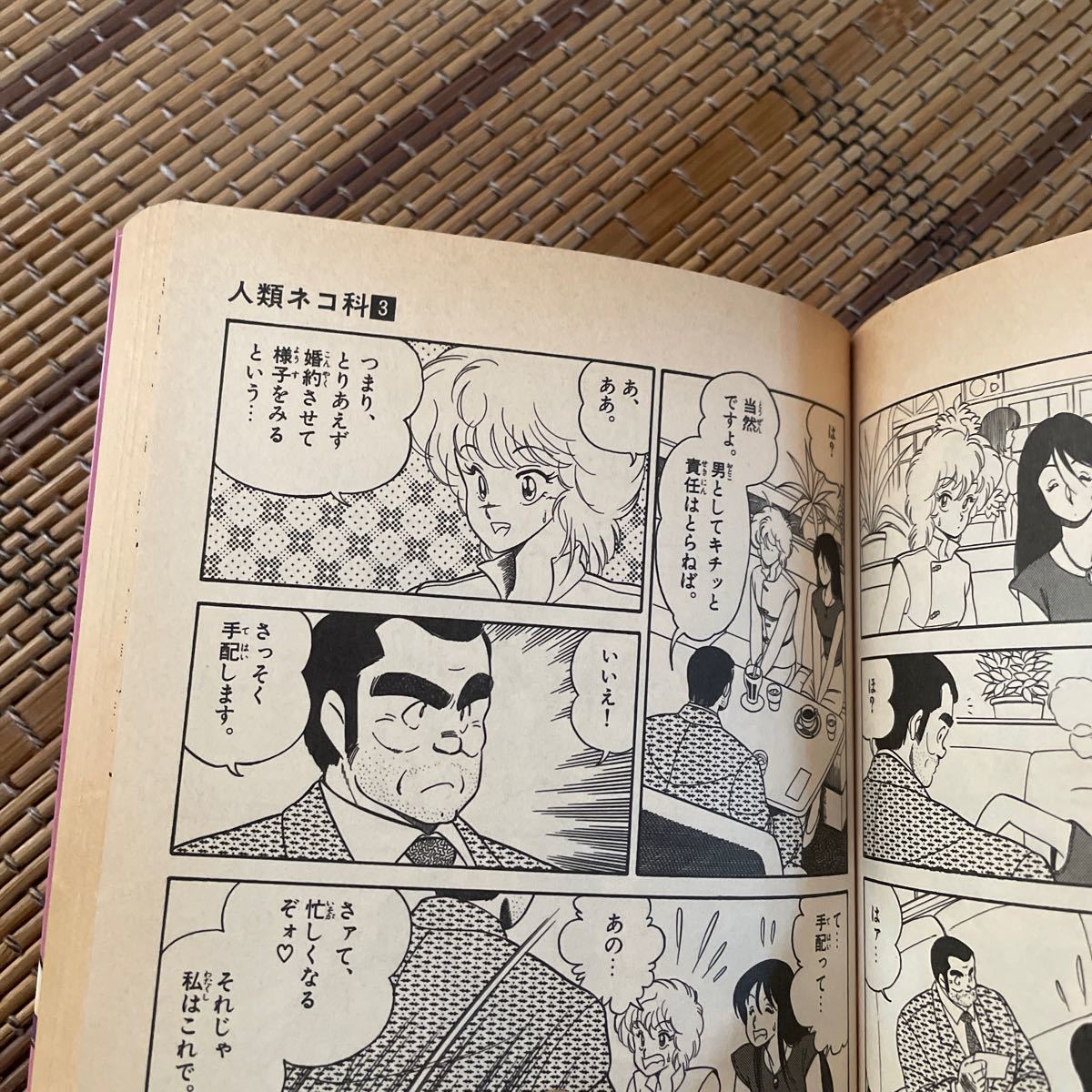 Paypayフリマ 人類ネコ科 Paypayフリマ 人類ネコ科