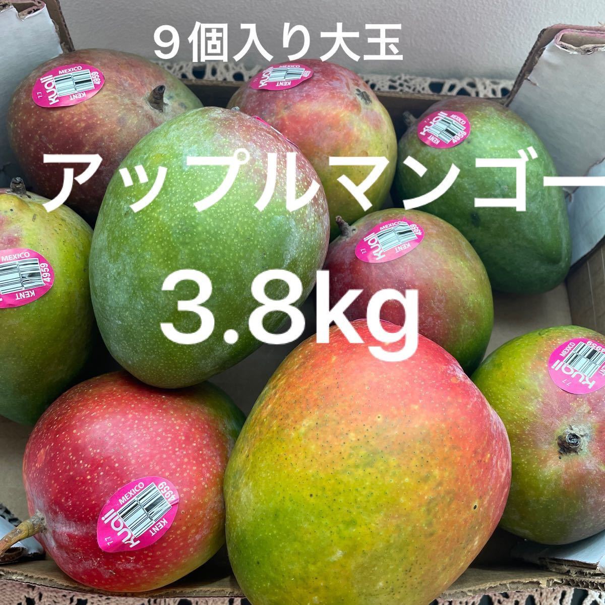 コストコマンゴー出品番号M ② 3 8kg 9個入り 美味しいアップル コストコマンゴー出品番号M ② 3 8kg 9個入り 美味しいアップル