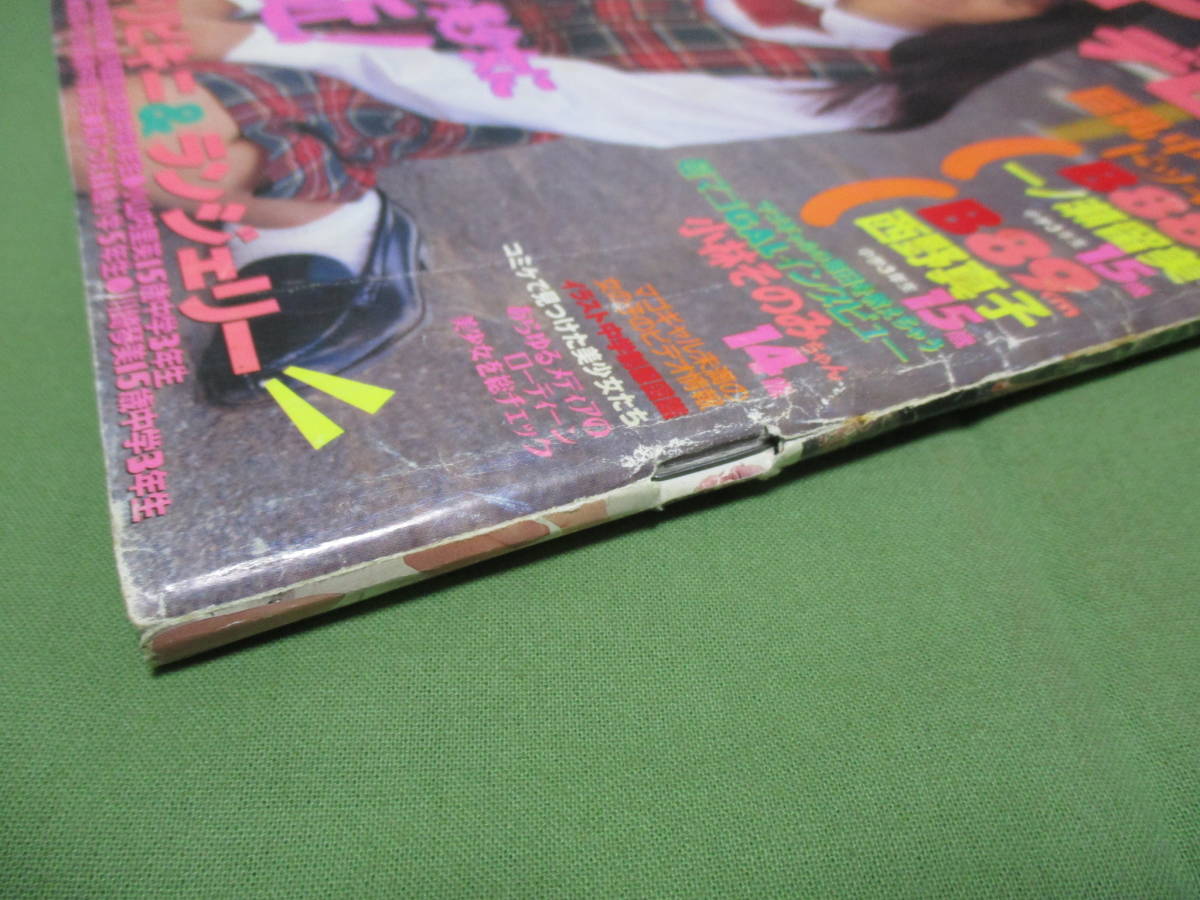 マゴギャルデビュー 1994年1月 熱烈投稿11月号増刊 マゴギャルデビュー 1994年1月 熱烈投稿11月号増刊