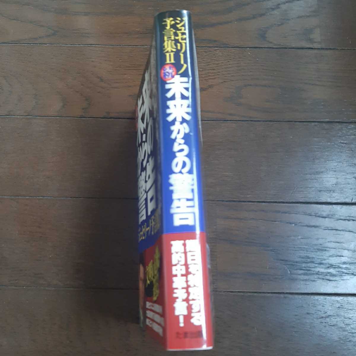 ジュセリーノ予言集2 続未来からの警告 ジュセリーノノーブレガダルース サンドラマイア 韮澤潤一郎 山川英一 他の出版_画像4