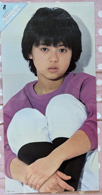  Yakushimaru Hiroko булавка nap постер три складывать примерно 25×50cm варьете - дополнение ②
