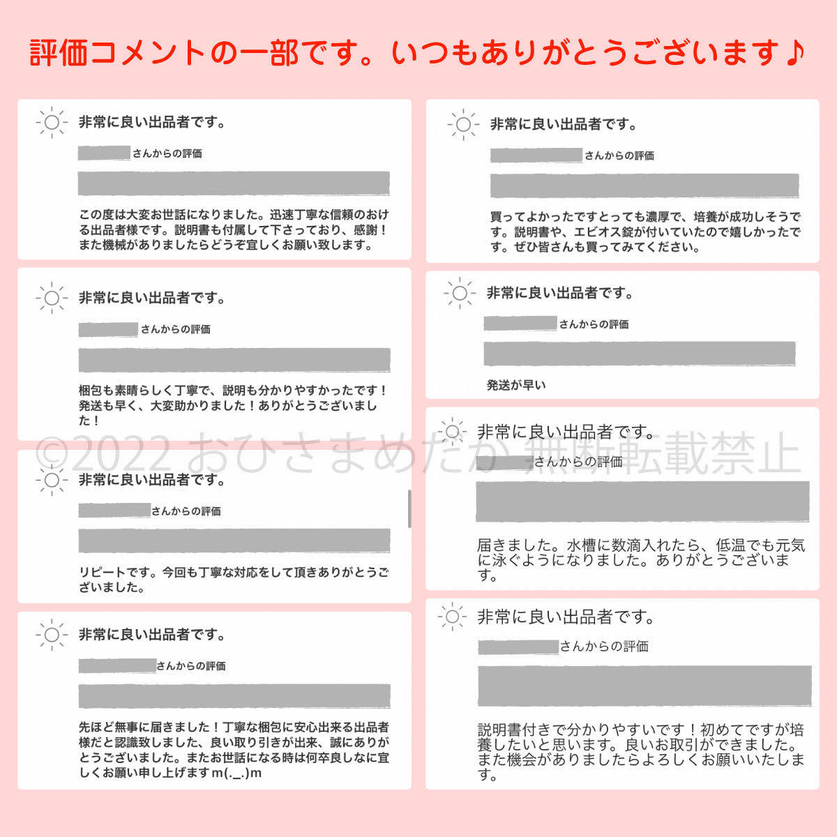 【ミドリムシ　種水　500ml　送料無料】 めだか　メダカ　針子　エサ 稚魚 ベタ　psb　 金魚　ミジンコ　クロレラ　ゾウリムシ などに_画像6