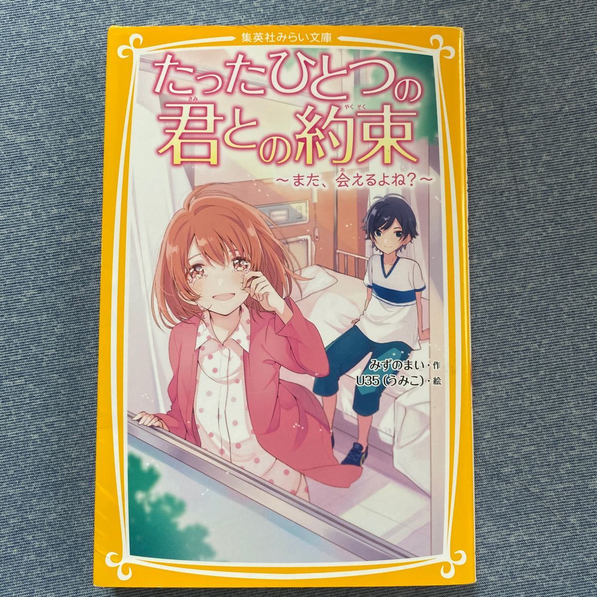 たったひとつの君との約束　また、会えるよね？ （集英社みらい文庫　み－６－１） みずのまい／作　Ｕ３５／絵