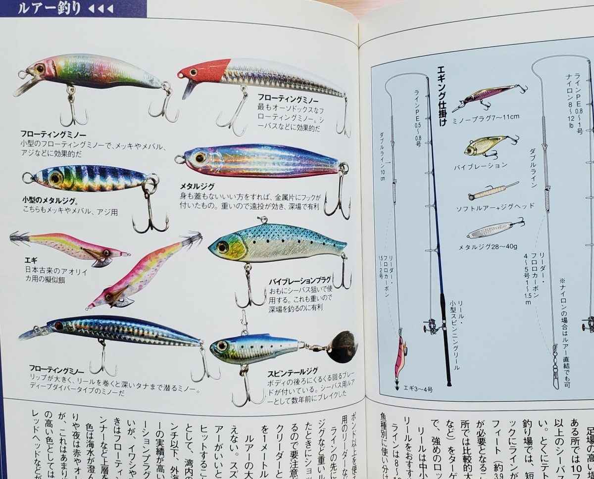 基礎から始める堤防釣り入門