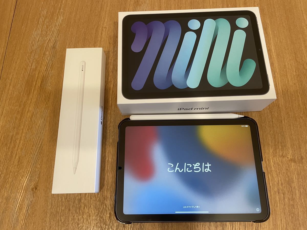 iPad mini 256GB スペースグレイ Wi-Fi アップルペンシル2-