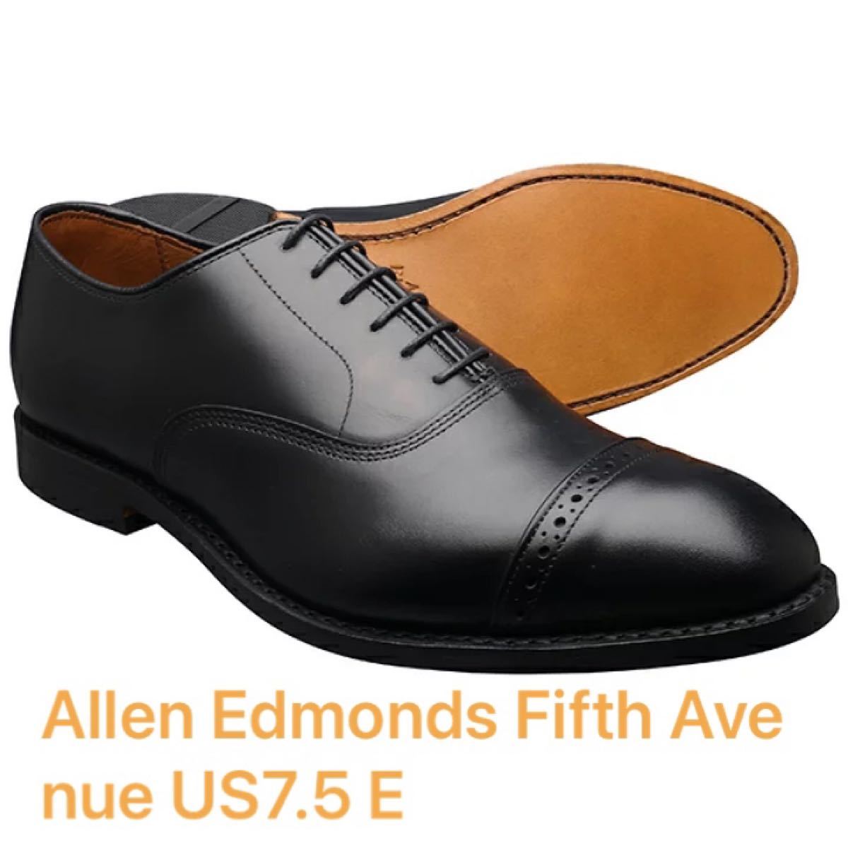 Allen Edmonds Park Avenue26cm