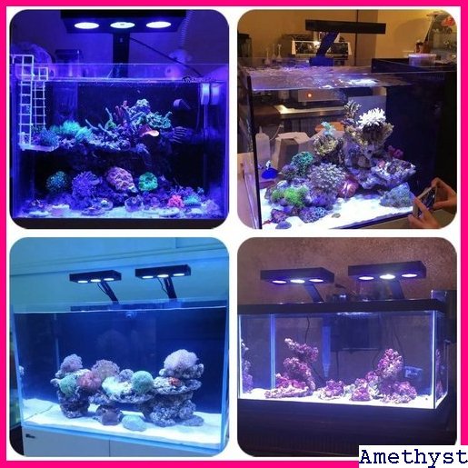 【売れ筋♪】 Cree社製LEDチップ ナノリーフのタッチコントロー 機能LE クアリウムライト海水魚水槽用ライトサンゴ飼育 31 6