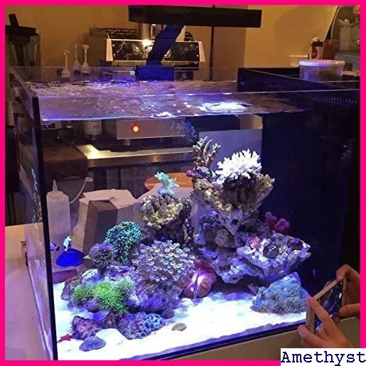【売れ筋♪】 Cree社製LEDチップ ナノリーフのタッチコントロー 機能LE クアリウムライト海水魚水槽用ライトサンゴ飼育 31 5