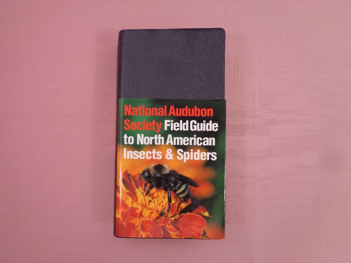 ★洋書 『 National Audubon Society Field Guide to North American Insects & Spiders 』 フィールドガイド 北アメリカ 昆虫 蜘蛛_画像1