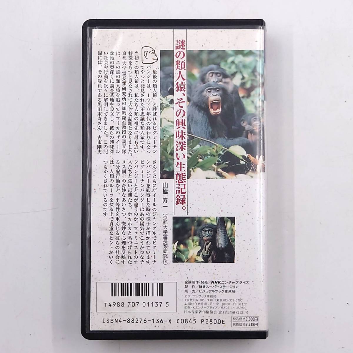 ★【動作確認済】レア 希少 VHS ピグミーチンパンジー 謎の類人猿、その興味深い生態記録 ビデオ NHKエンタープライズ ★_画像3