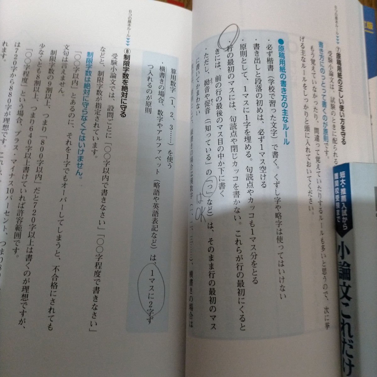 小論文これだけ！　短大・推薦入試から難関校受験まで　教育超基礎編 樋口裕一／著　大原理志／著