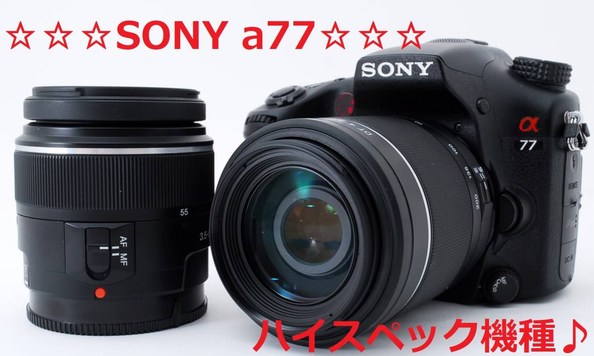 超人気 SONY 一眼レフ a65 5t カメラ 説明文要チェック デジタルカメラ