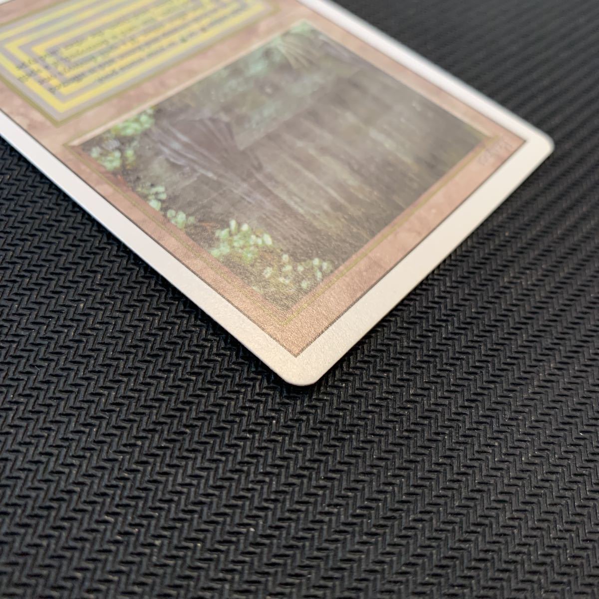 デュアルランド Bayou RV 3ED 英語 MTG | centrosanroque.com