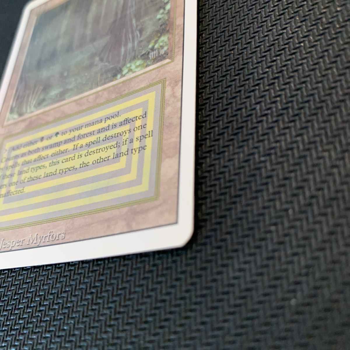 デュアルランド Bayou RV 3ED 英語 MTG | citerol.com.br