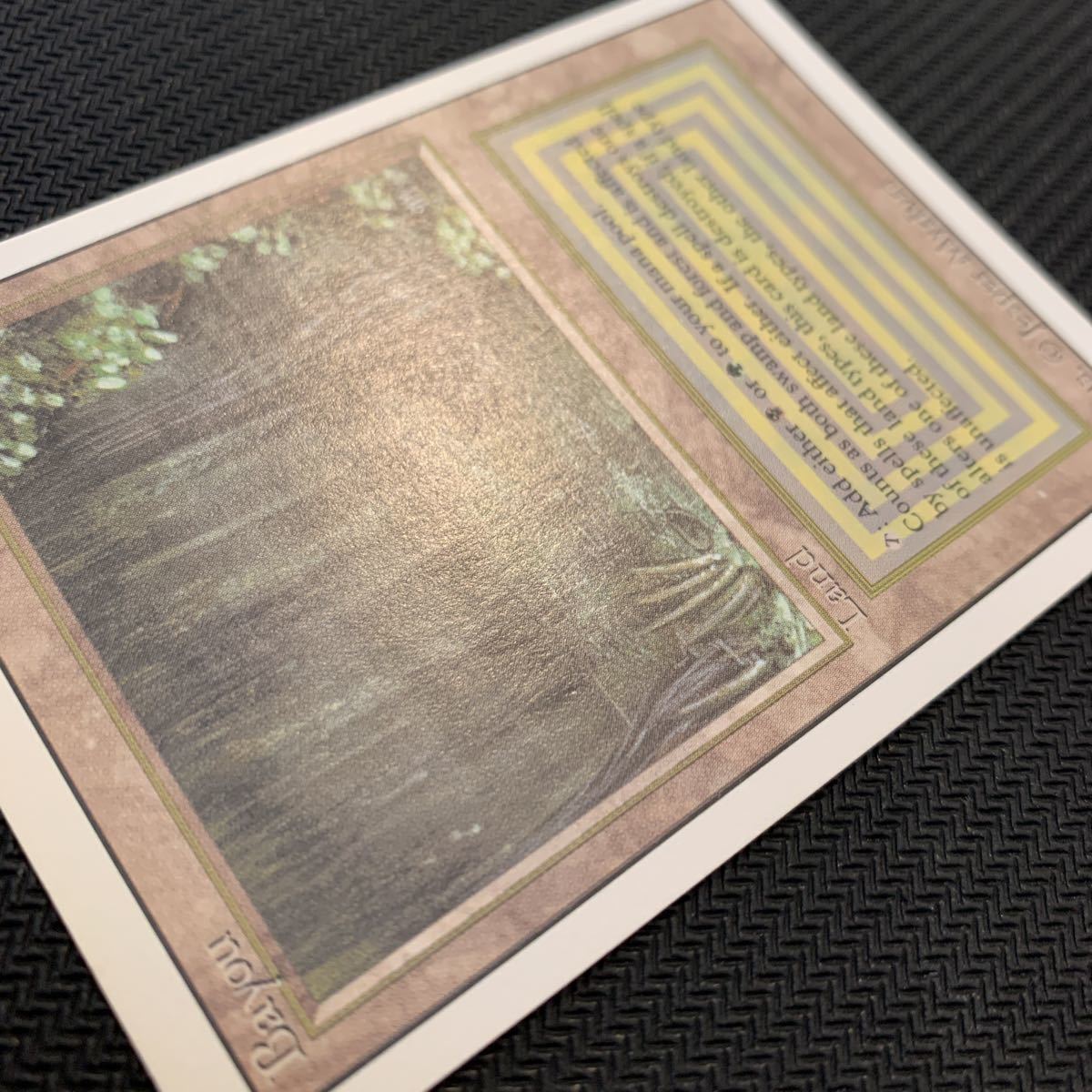 デュアルランド Bayou RV 3ED 英語 MTG | cipelici-orange.com