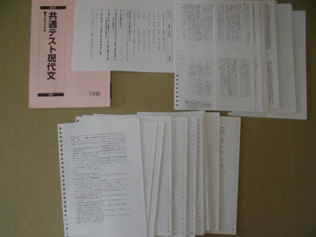 東進 林修先生 通期 東大特進・東大現代文 講義・解説プリント 東進 林修先生 通期 東大特進・東大現代文 講義・解説プリント