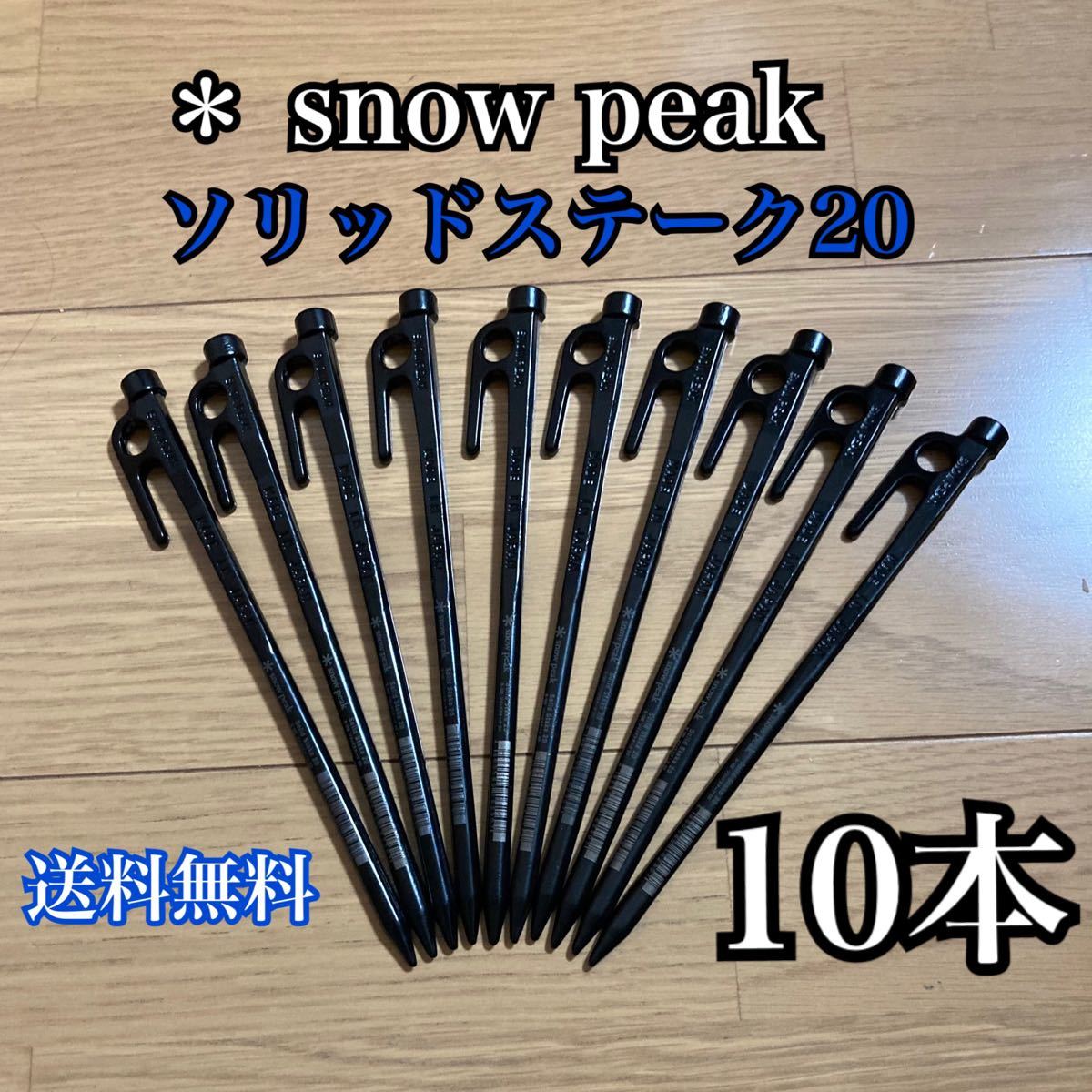 スノーピーク　ペグ ソリッドステーク20 R-102 snow peak x10 