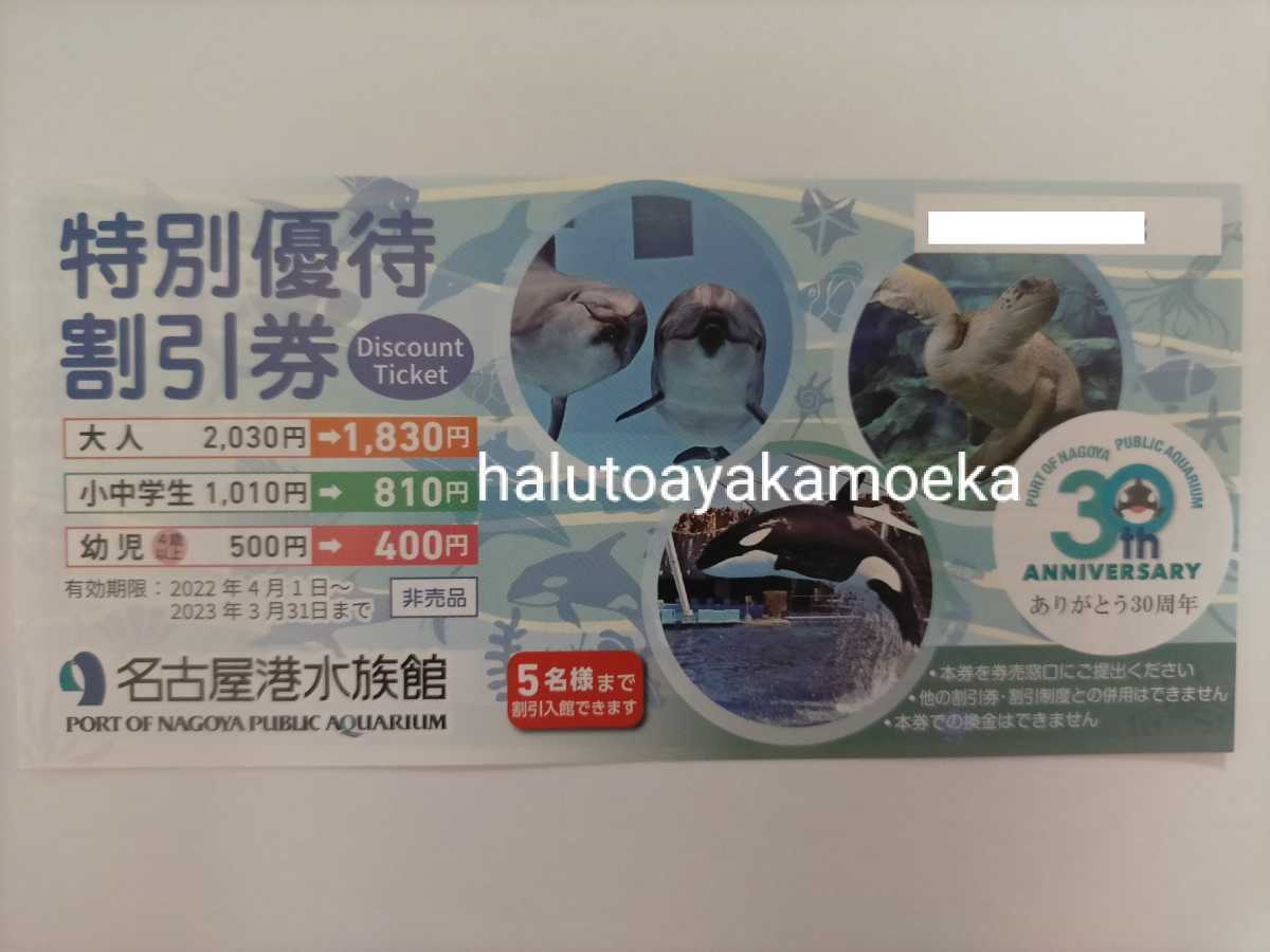 *名古屋港水族館*特別優待割引券 1枚 2023/3/31迄_画像1