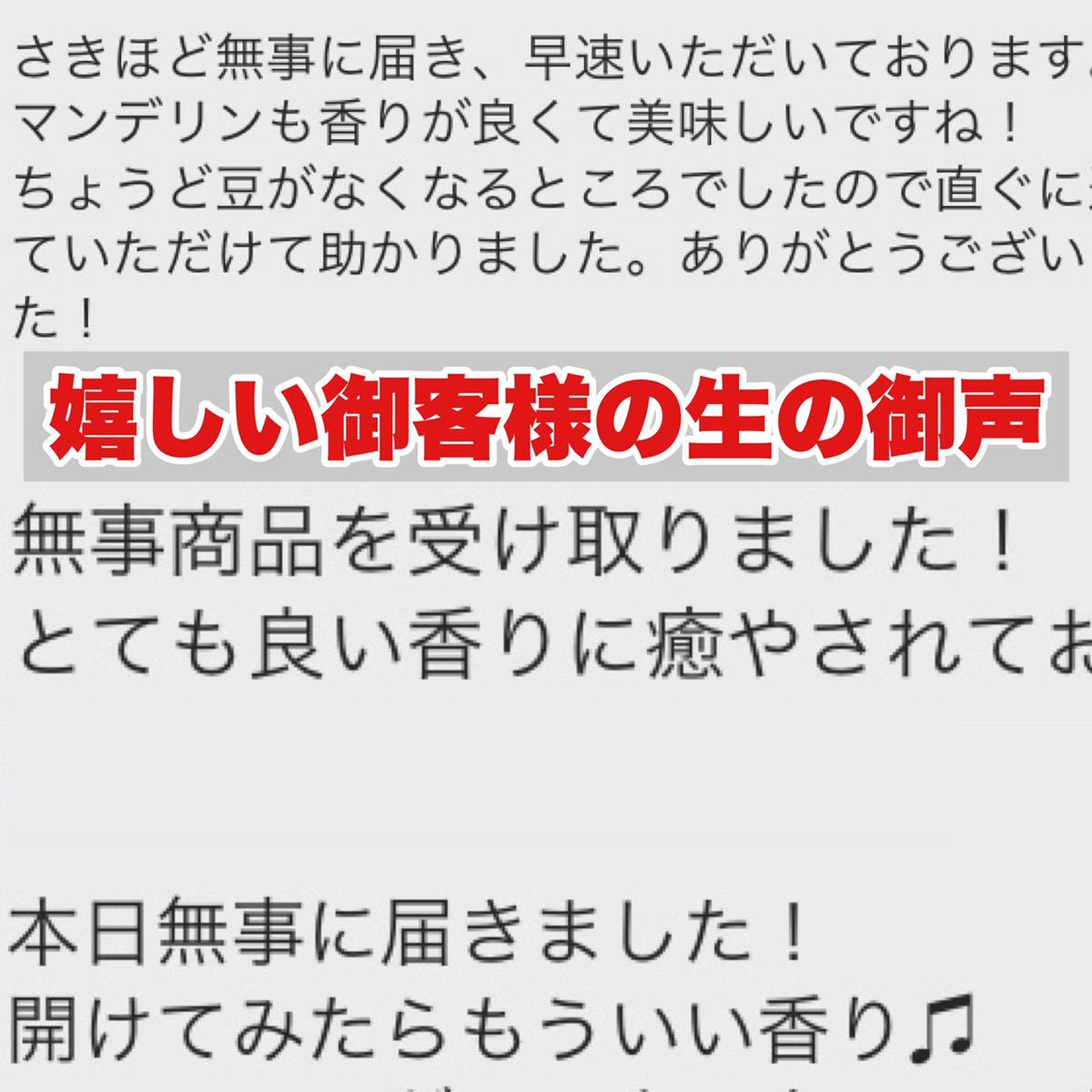 NEW 『ジュルッとぶどう。』 自家焙煎 コーヒー豆　珈琲豆　グァテマラ　グアテマラ SHB 高級厳選豆 ただ、美味い。そんな誇れる珈琲。_画像7