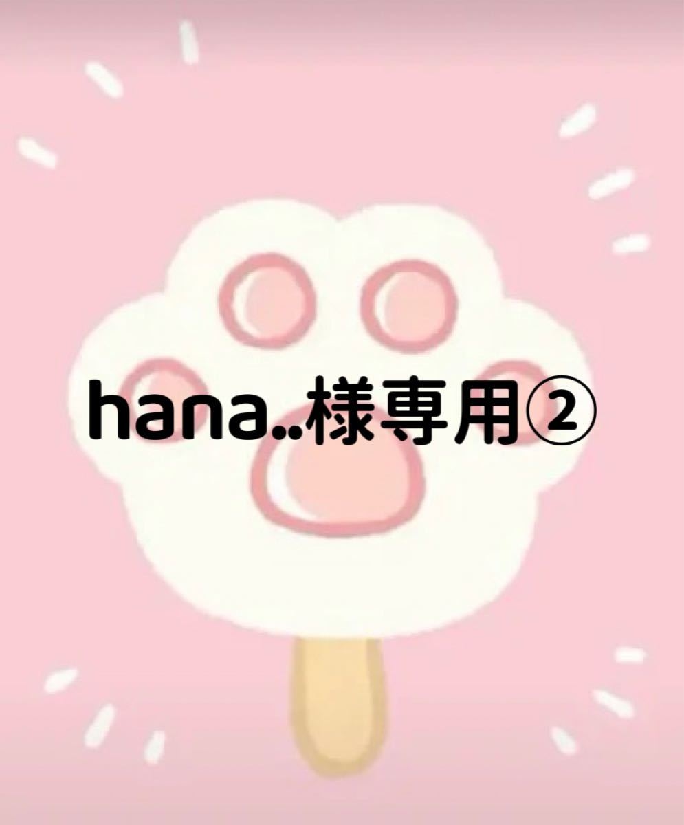 hana 様専用ページ②|PayPayフリマ