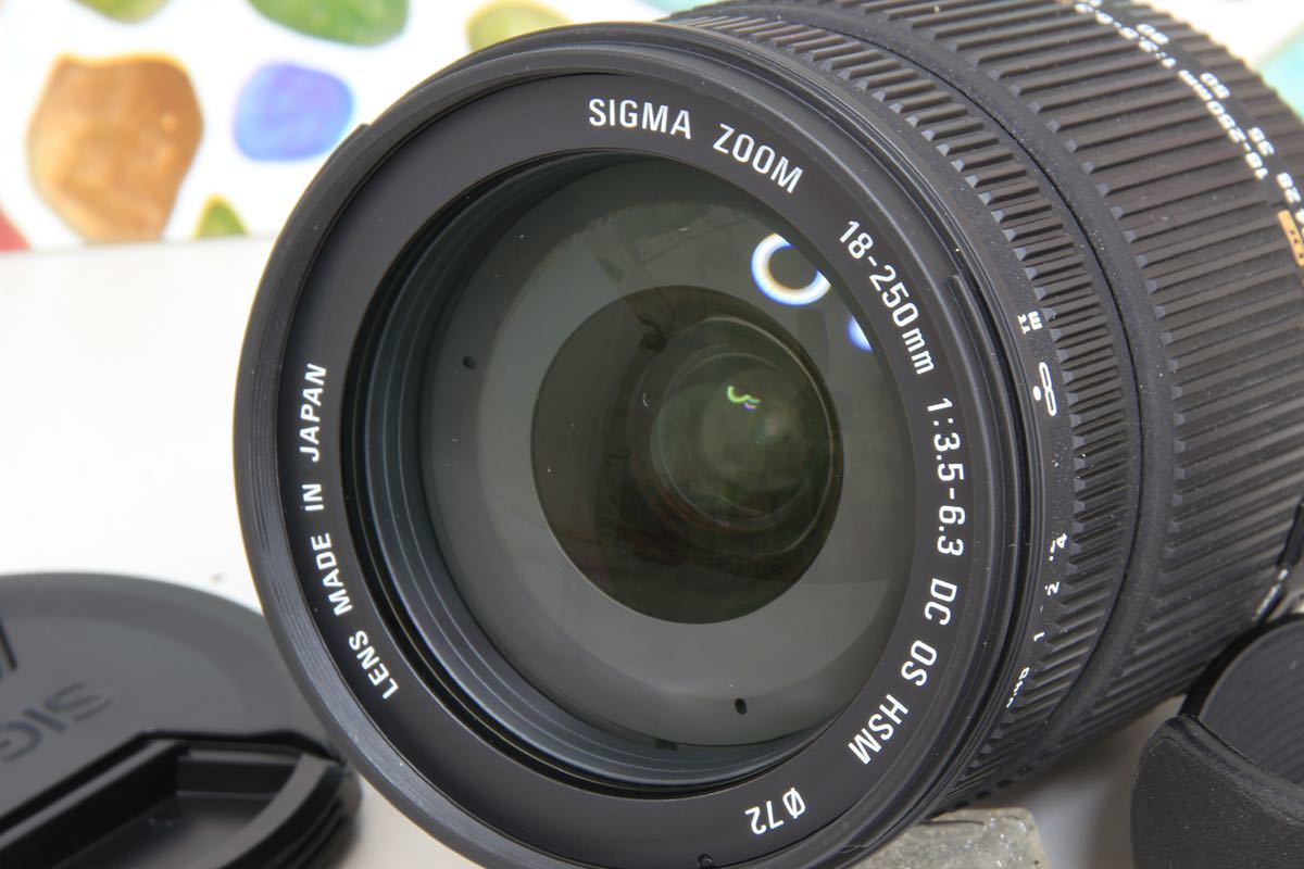 ◇近くから遠くまでこなせます♪ SIGMA シグマ18-250mm ☆おすすめ