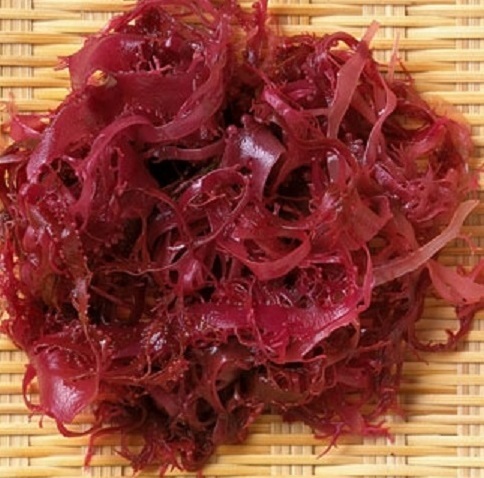 5[ super-discount! on quality!] Shizuoka prefecture . legume production red ... paste 500g [ high class gift Mother's Day Father's day Bon Festival gift present gift inside festival red tosaka seaweed domestic production ]