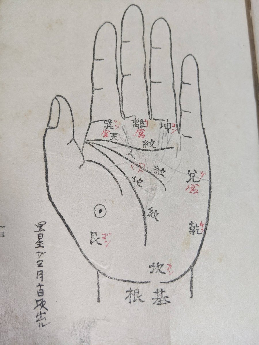 手相と指紋の神秘 坂井末雄 1934.5 初版第1刷 神宮館蔵版/手相術/占い/易/運命判断/東洋/天紋/人紋/地紋/理紋奇相/古書/戦前/B3217365_画像4