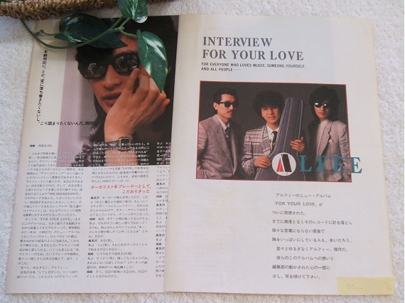 レア? ◇40年前◇レトロ◇ THE ALFEE/ジ アルフィー/坂崎幸之助 レア? ◇40年前◇レトロ◇ THE ALFEE/ジ アルフィー/坂崎幸之助