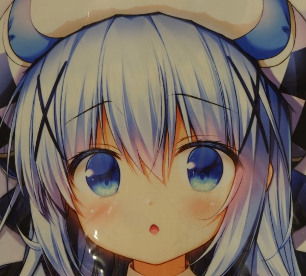 わたくび☆きらファンチノ抱き枕カバー☆ご注文はうさぎですか?☆ 笹井