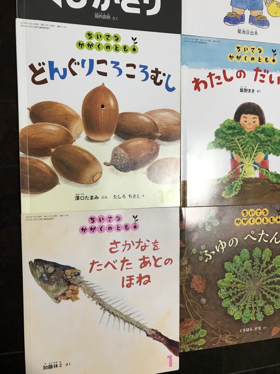 こどものとも　ちいさなかがくのとも　2019年度1年分　年少版　 福音館書店