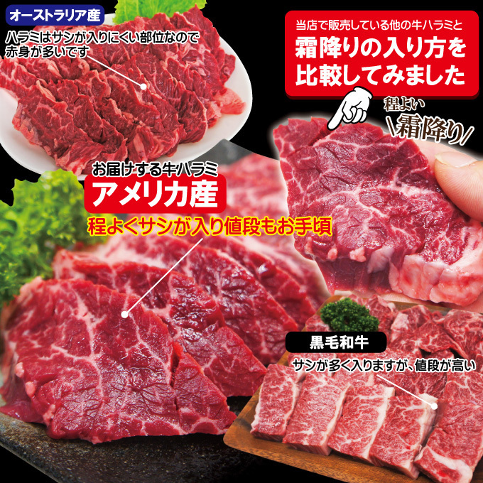 霜降り厚切り牛肉ハラミ500ｇ冷凍　米国産【焼肉】【はらみ】【和牛や国産に負けない味わい】_画像3