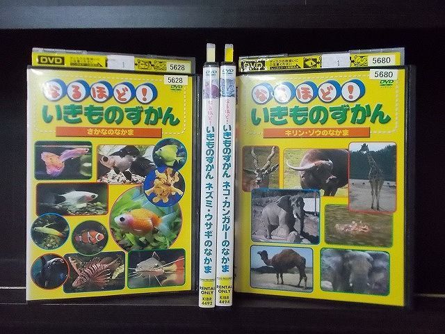 Yahoo!オークション - DVD なるほど!いきものずかん 4本セット ※ケース Yahoo!オークション - DVD なるほど!いきものずかん 4本セット ※ケース