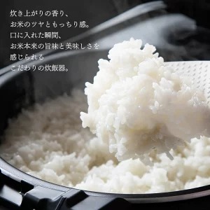 炊飯器 5.5合 IH アイリスオーヤマ 低糖質 RC-PD50 一人暮らし ジャー炊飯器 圧力IH おしゃれ 銘柄炊き 圧力IHジャー炊飯器5.5合_画像2