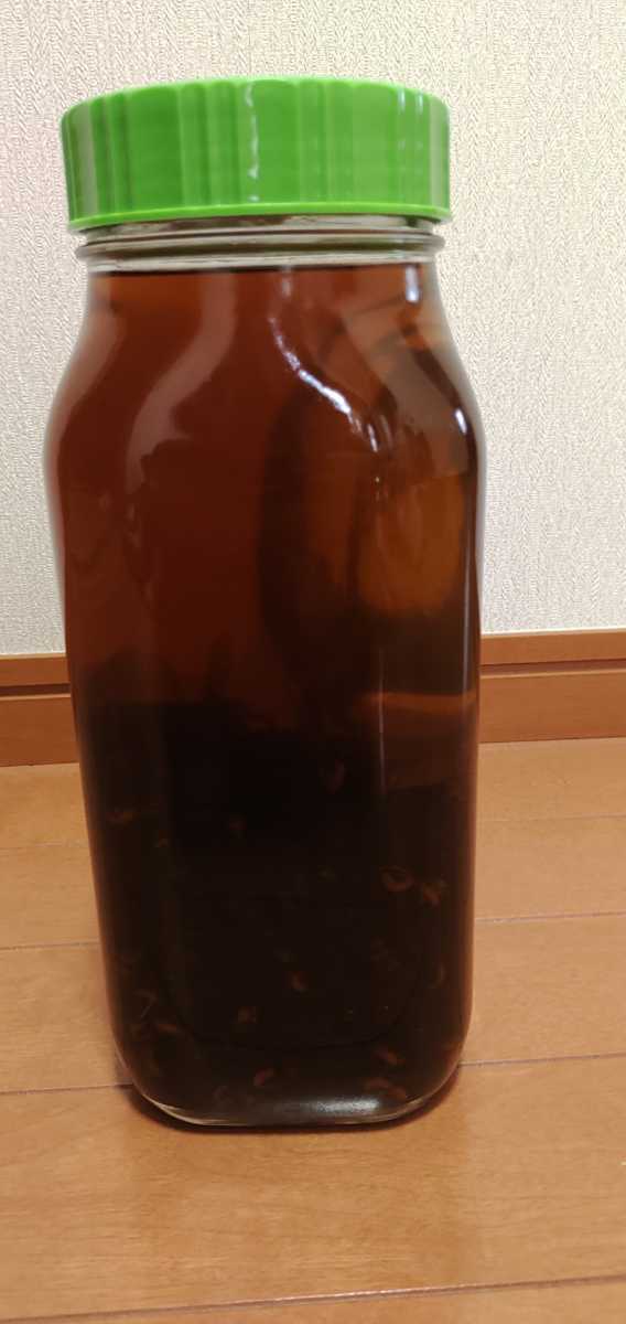 天然 オオスズメバチ 120匹 焼酎 1800 一升 ホワイトリカー 古酒 日本ミツバチ